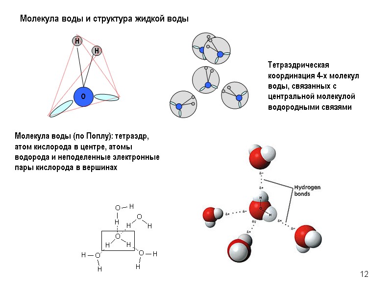 12 Молекула воды и структура жидкой воды Тетраэдрическая координация 4-х молекул воды, связанных с